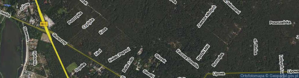 Zdjęcie satelitarne Kwiatu Paproci ul.